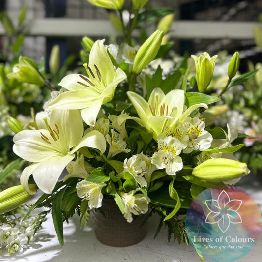 Canasta de Liliums